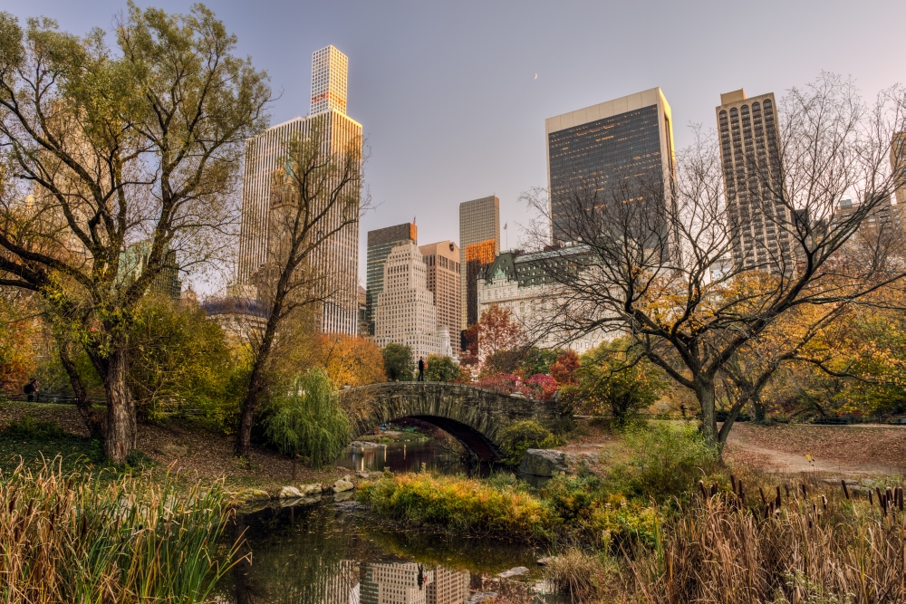 Autumn Coloured Foliage Around Gapstow Bridge Central Park - New York City United States of America Poster Print by F. M. Kearney - 19 x 12