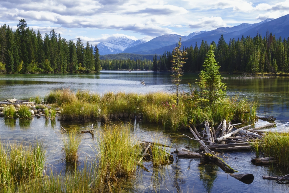 DPI12305295 Beauvert Lake Jasper National Park - Jasper Alberta Canada Poster Print by Alvis Upitis, 19 x 12