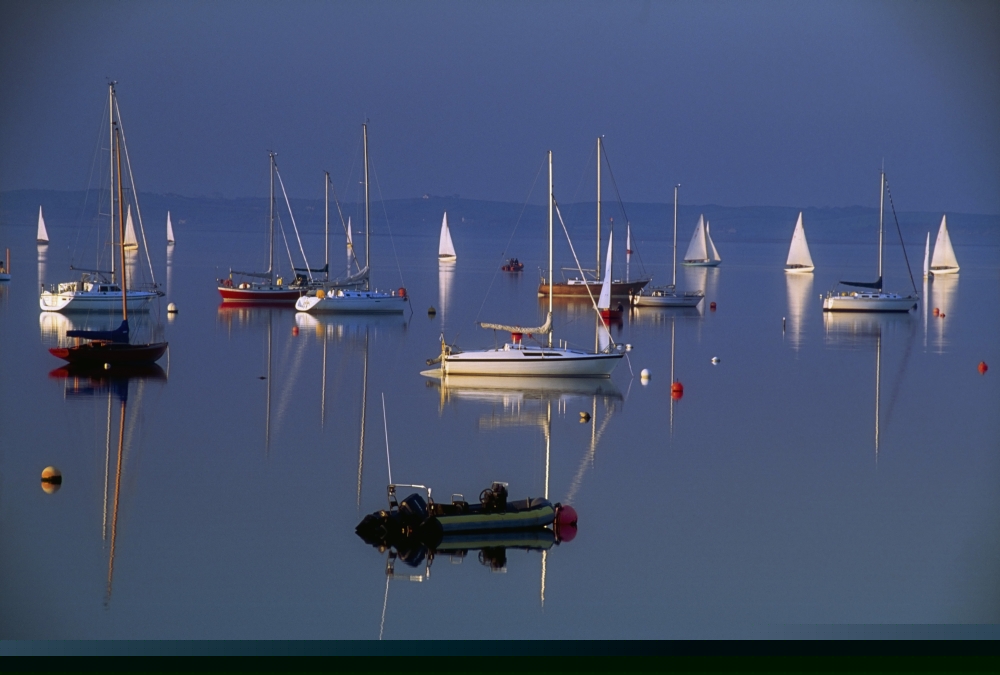 Strangford Lough Co Down Ireland - Sailboats On Still Water Poster Print by The Irish Image Collection - 36 x 24 - Large