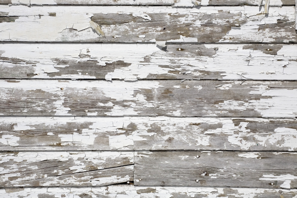 Paint Peeling Off Wood Poster Print by David Chapman - 18 x 12