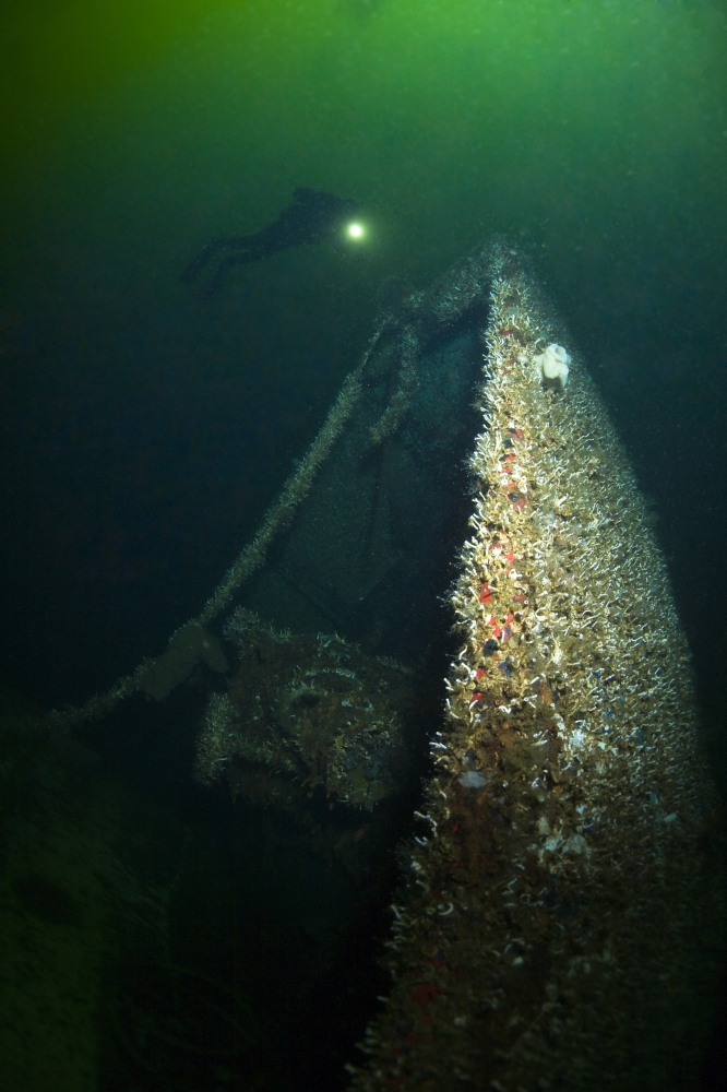 Trans Pacific Shipwreck Northern British Columbia Canada Poster Print by Stuart Westmorland, 11 x 18