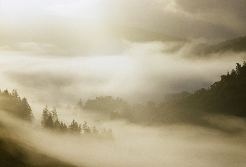 Glendalough Co Wicklow Ireland Mist Poster Print by The Irish Image Collection - 36 x 24 - Large