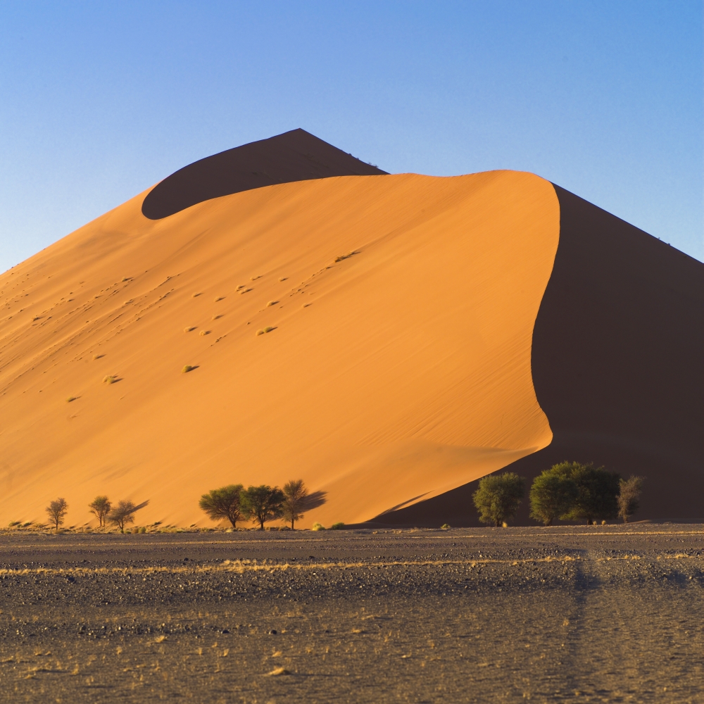 Sand Dune Namibia Africa Poster Print by Keith Levit - 15 x 15