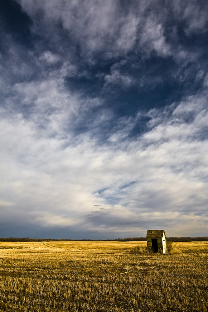 Shack in Field Poster Print by Steve Nagy - 12 x 19
