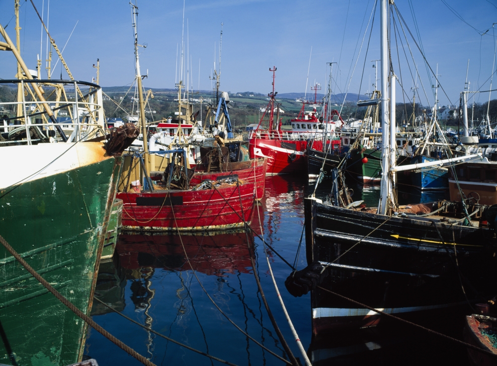 Greencastle Lough Foyle Co Donegal Ireland - Boats At A Commercial Fishing Port Poster Print by The Irish Image Collection - 17 x 13