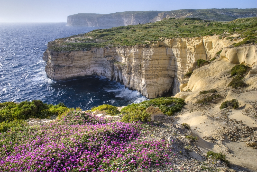 DPI1830281LARGE Cliffs Along Ocean with Wildflowers Poster Print by Philippe Widling, 34 x 22 - Large