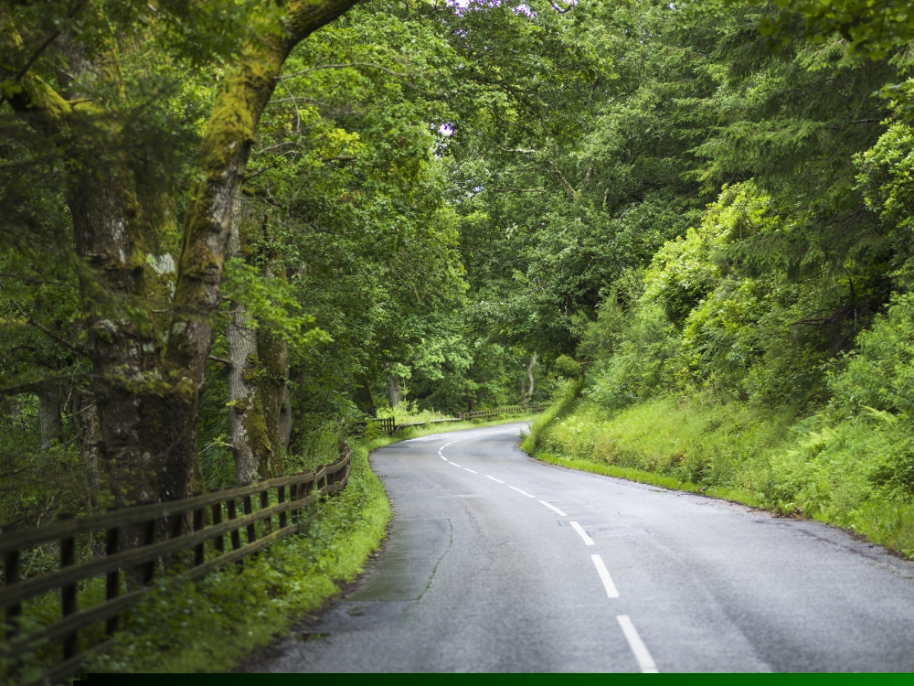 DPI12302910 A Road Lined with Lush Trees & Foliage & A Wooden Fence - Dunkeld Perth & Kinross Scotland Poster Print by Keith Levit, 17 x 13