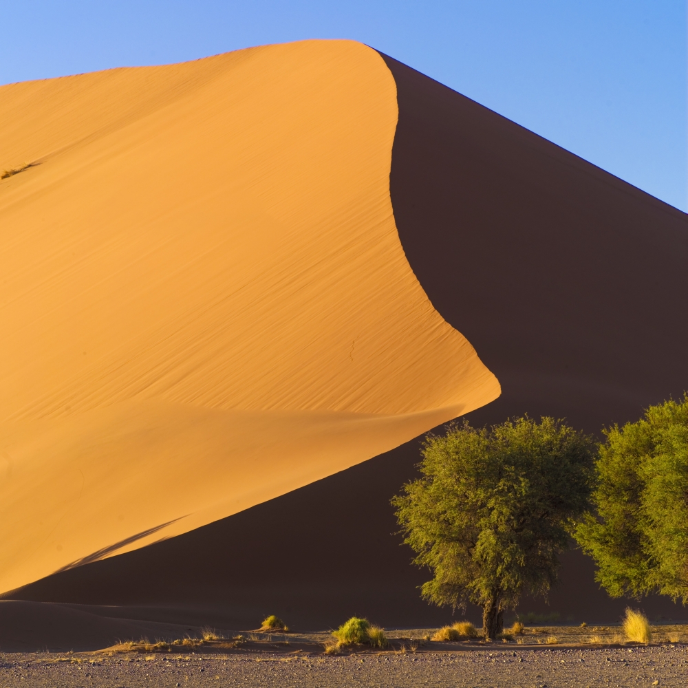 Sand Dune Namibia Africa Poster Print by Keith Levit, 24 x 24 - Large