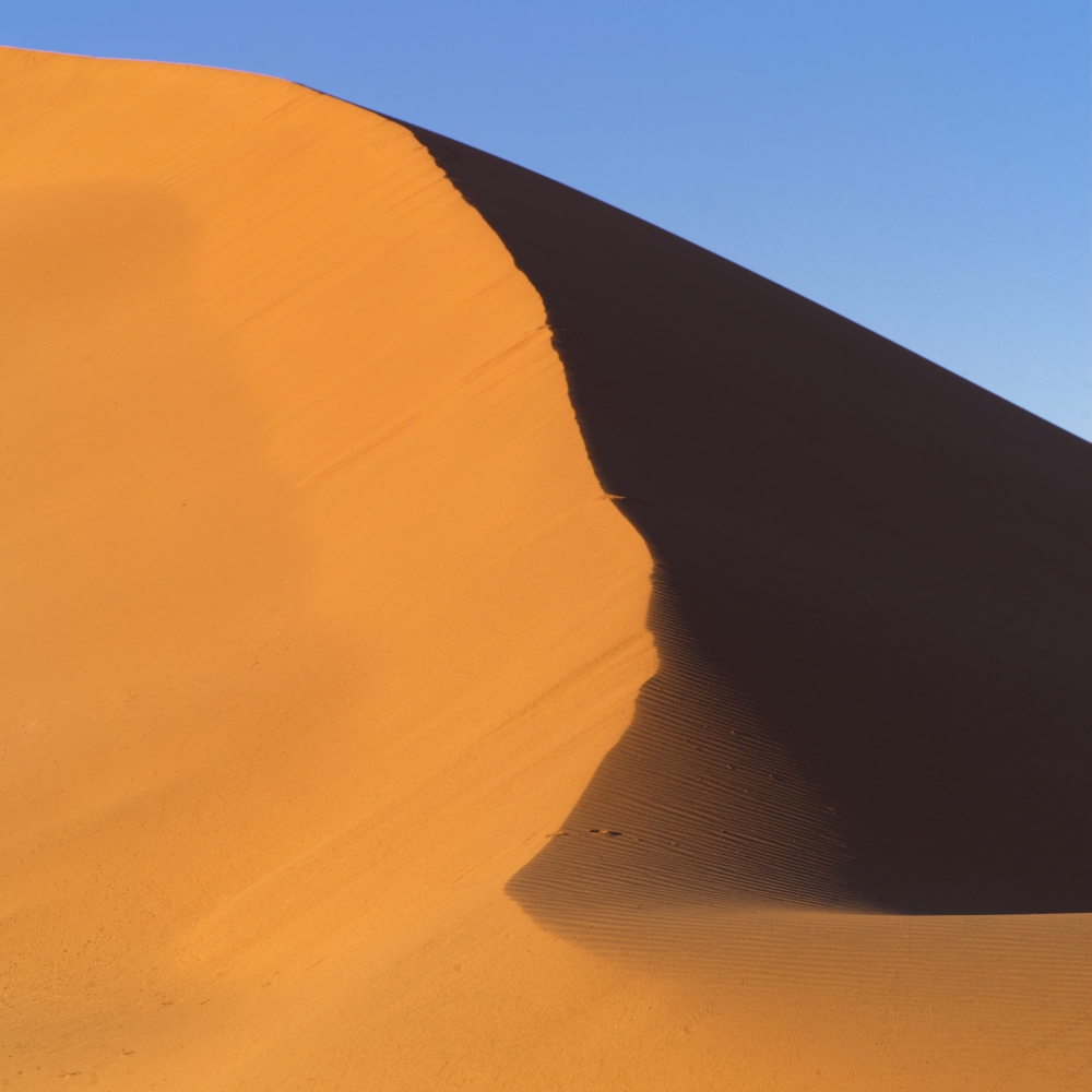 Sand Dune Namibia Africa Poster Print by Keith Levit, 24 x 24 - Large