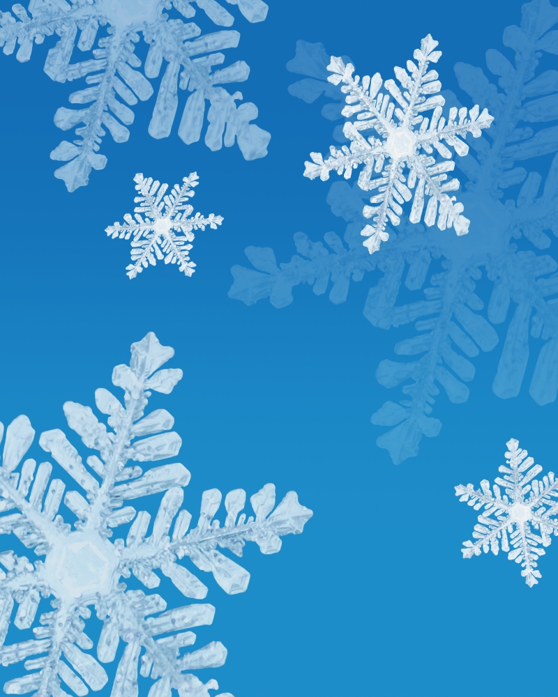 Snowflakes Poster Print by Don Hammond, 24 x 30 - Large