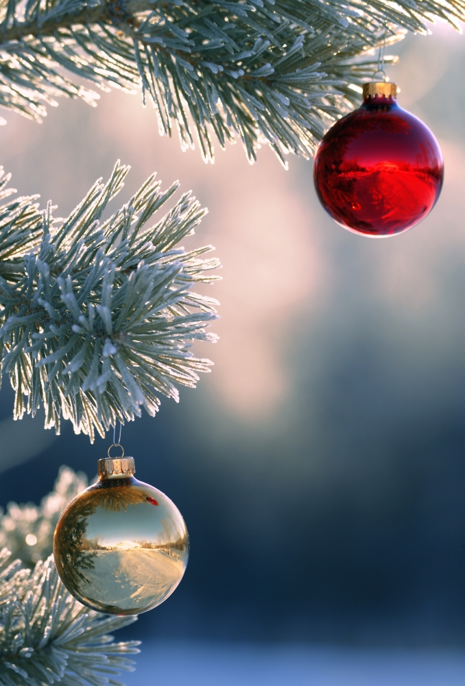 Christmas Ornaments Poster Print by Carson Ganci - 11 x 17