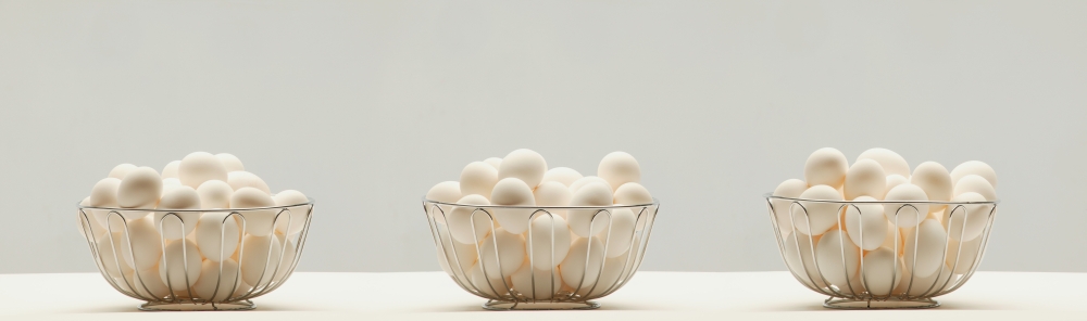 Eggs in Three Baskets Poster Print by Darren Greenwood - 25 x 7