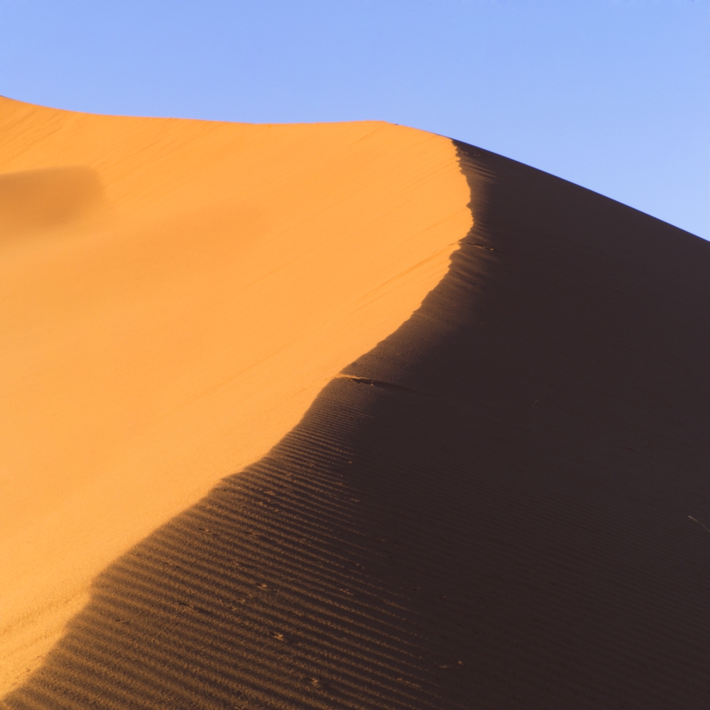 Sand Dune Namibia Africa Poster Print by Keith Levit - 15 x 15