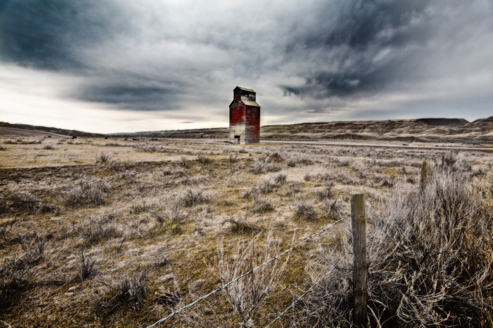 DPI1831548LARGE Old Grain Elevator Dorothy Alberta Canada Poster Print by Steve Nagy, 38 x 24 - Large