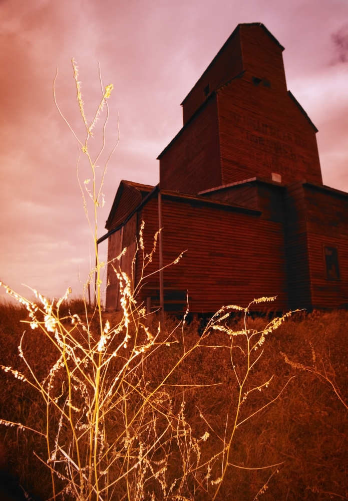 Grain Elevator Poster Print by Kelly Redinger, 22 x 34 - Large
