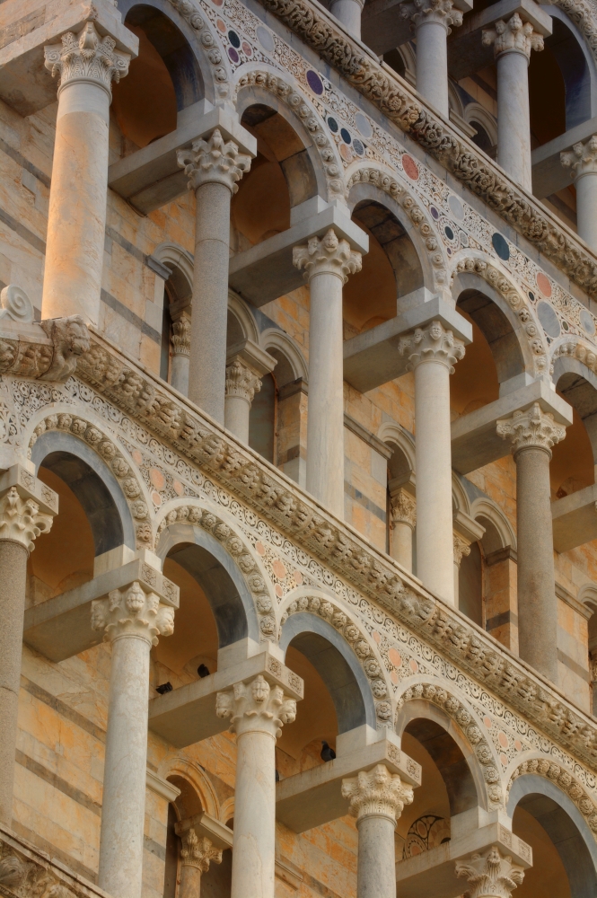 DPI1480357LARGE Detailed Close-Up of Piazza Del Miracoli Pisa The Leaning Tower of Pisa Tuscany Italy Poster Print by Carson Ganci, 22 x 34 - Large