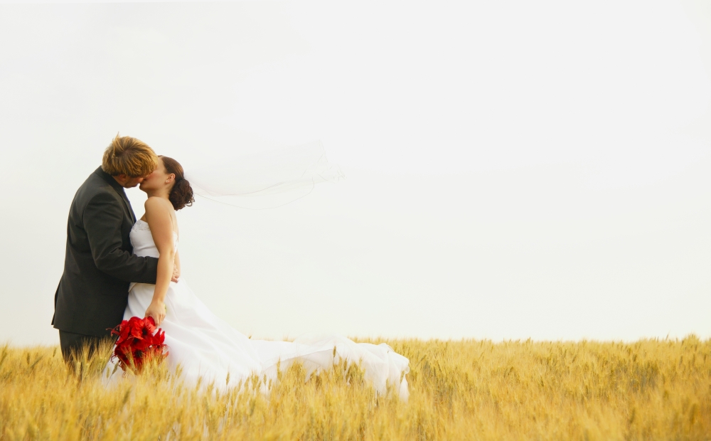 DPI1480397 Bride & Groom Kiss Poster Print by Don Hammond, 17 x 11