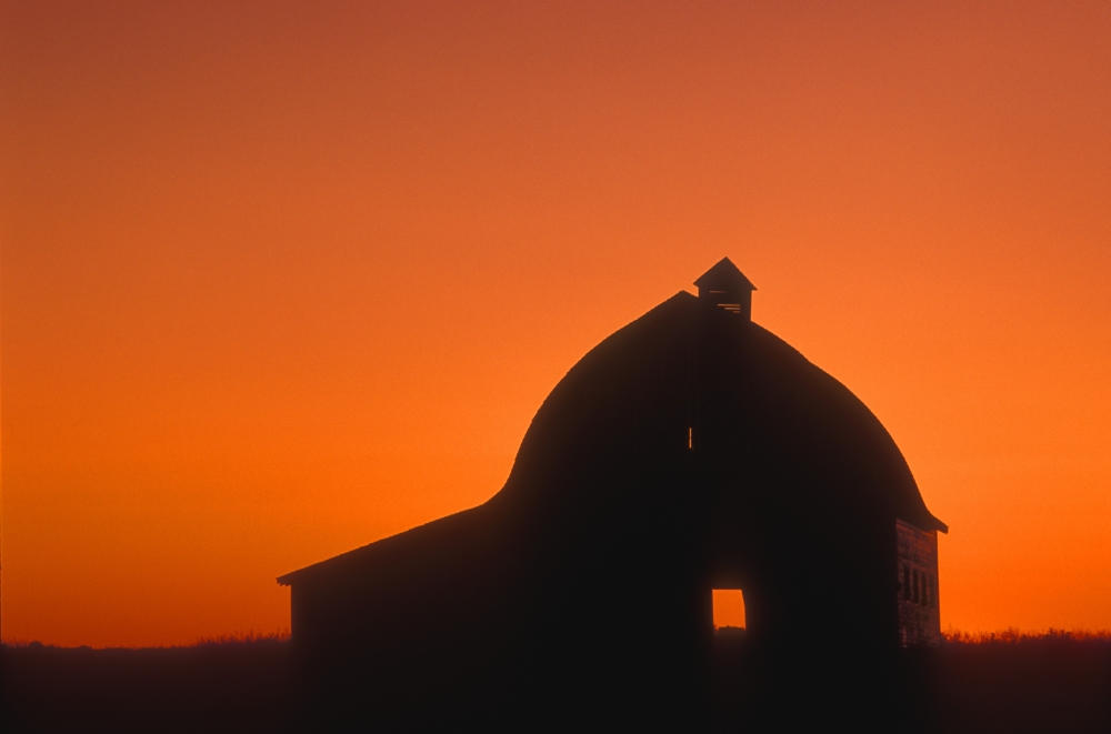 Silhouetted Building Poster Print by Bilderbuch - 18 x 11