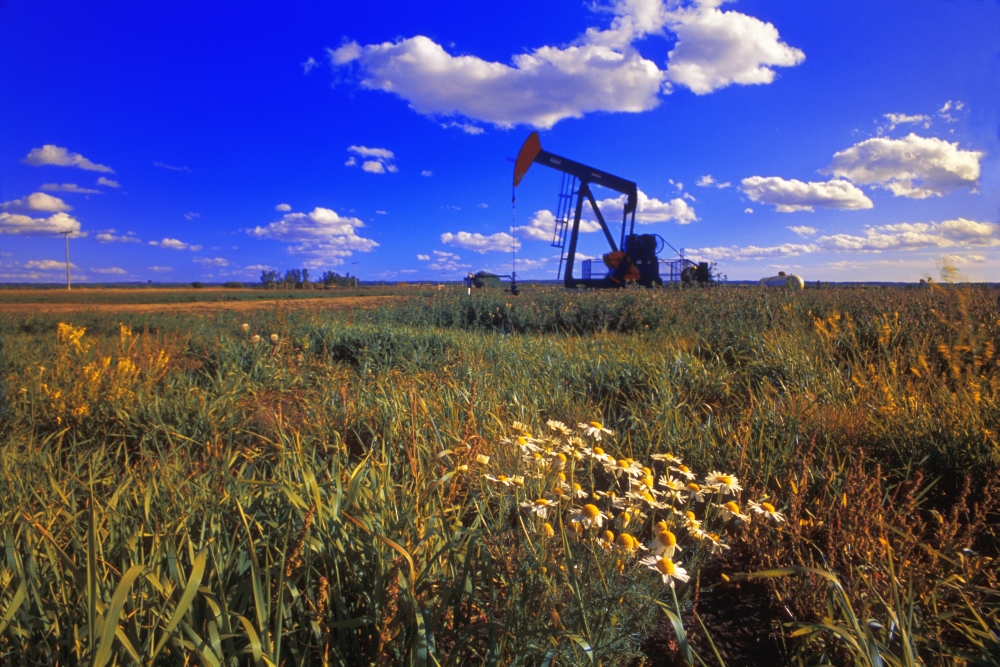 Pumpjack in a Field Alberta Canada Poster Print by Corey Hochachka - 17 x 11
