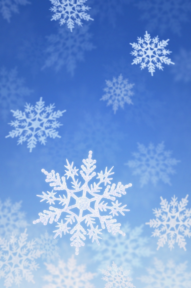 Snowing Poster Print by Don Hammond, 11 x 17