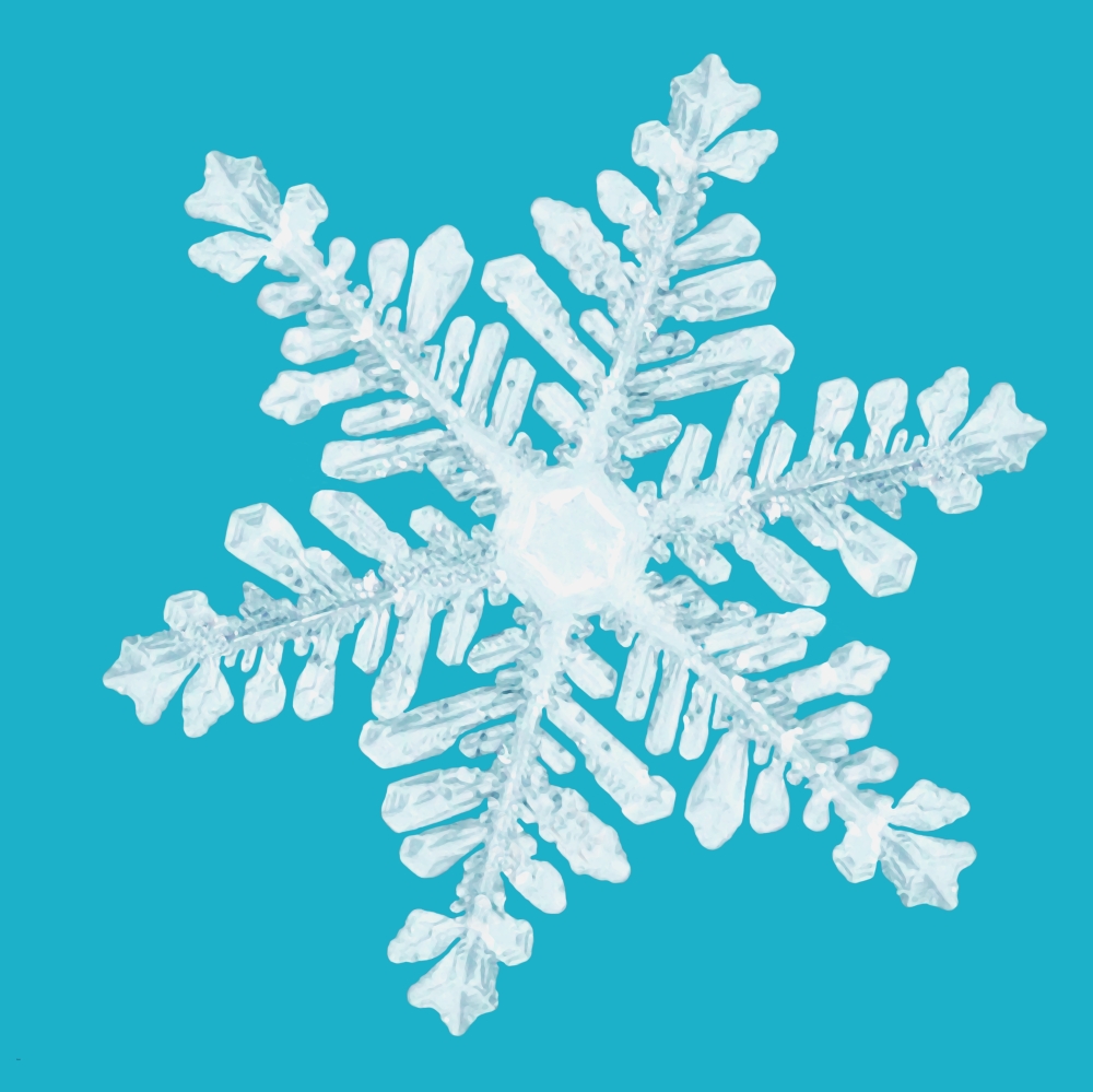 Snowflake Poster Print by Don Hammond - 14 x 14