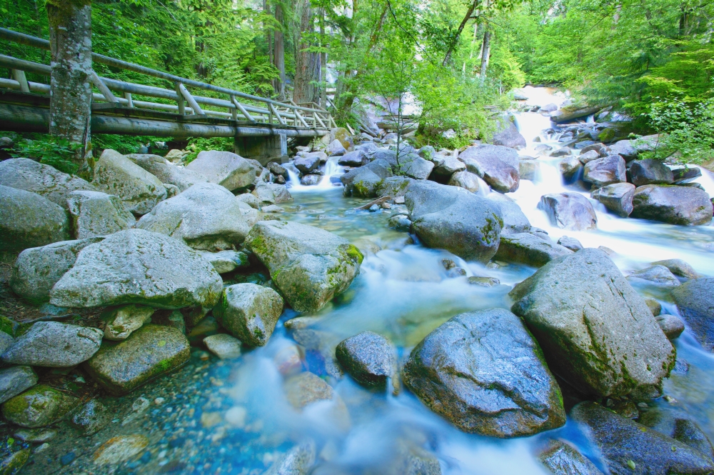 Fast Flowing River Poster Print by Don Hammond, 17 x 11