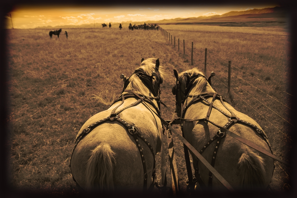 Horses Pulling Carriage Poster Print by Carson Ganci - 17 x 11