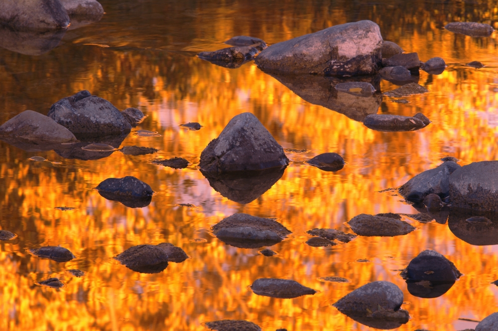 DPI1784112LARGE Autumn Reflections Poster Print by Carson Ganci, 34 x 22 - Large