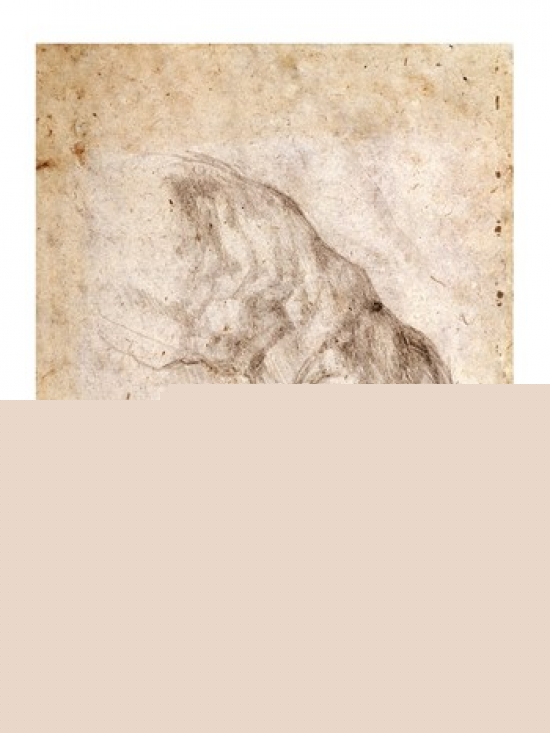 BALBAL191765 Study for The Creation of Adam Poster Print by Michelangelo Buonarroti - 18 x 24 in.