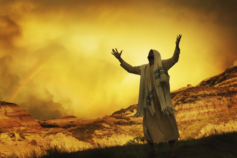 DPI1780850 Jesus with Arms Stretched Towards Heaven Poster Print by Don Hammond, 17 x 11