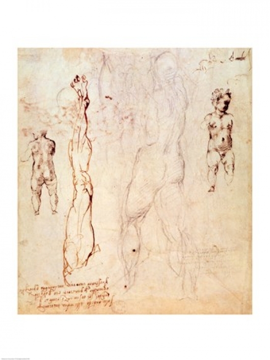 Anatomical Drawings with Accompanying Notes Poster Print by Michelangelo Buonarroti - 24 x 36 in. - Large