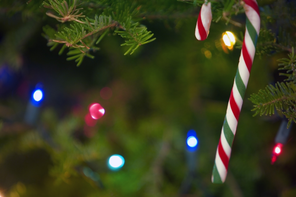 Candy Cane On Tree Poster Print by Carson Ganci, 34 x 22 - Large