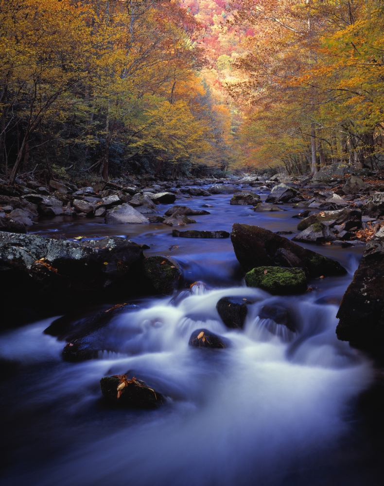 Little River Cascades & Autumn Colors Great Smoky Mountains National Park Poster Print by Natural Selection Robert Cable, 26 x 34 - Large