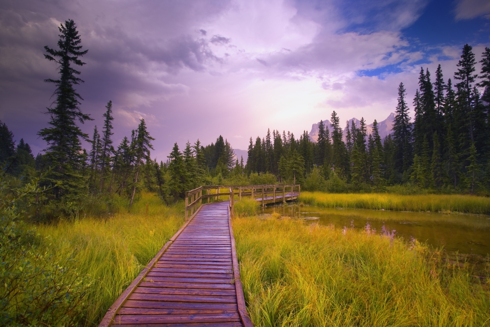 Policemans Creek Alberta Canada Poster Print by Carson Ganci, 34 x 22 - Large