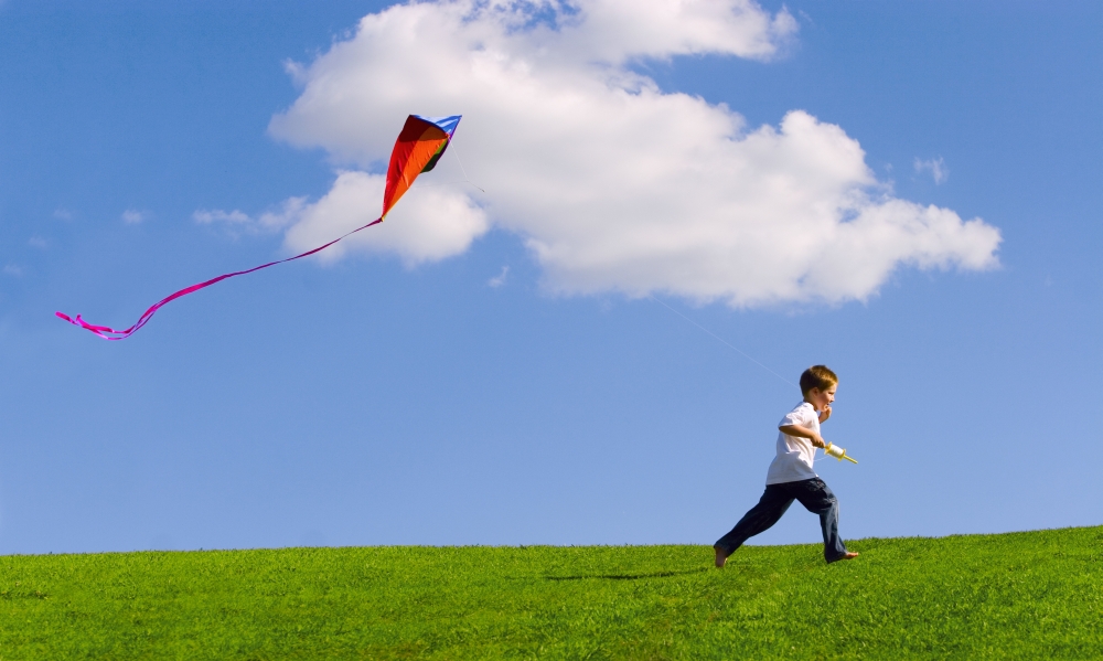 Child Flying A Kite Poster Print by Don Hammond - 18 x 10