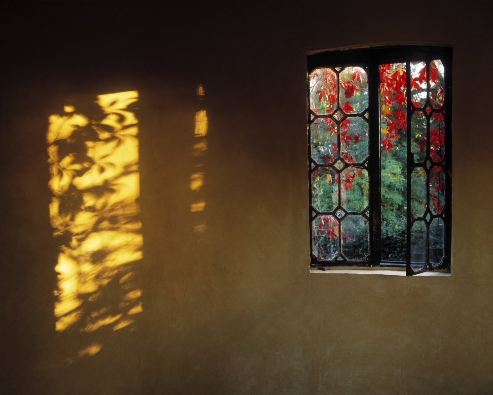 Window with Creeper Butterstream Co Meath Ireland Poster Print