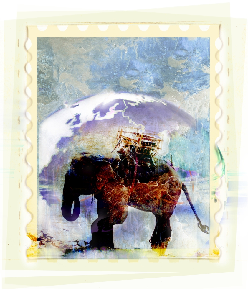 DPI1796693 An Elephant Carrying Cargo Poster Print by Design Pics Eye Traveller, 14 x 16