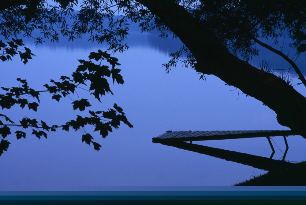 DPI1800318LARGE Lake & Trees At Dusk Poster Print by Natural Selection David Chapman, 34 x 22 - Large