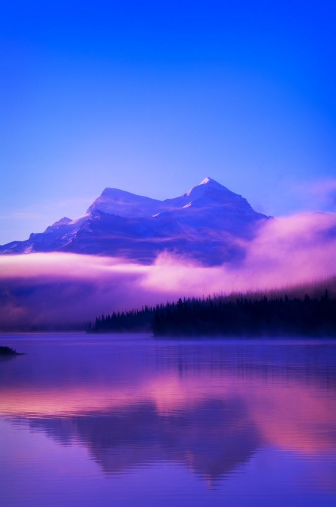 DPI1801598 Maligne Lake Jasper National Park Alberta Canada Poster Print by Corey Hochachka, 11 x 17