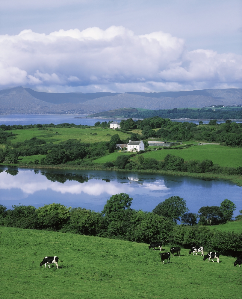DPI1802336 Bantry Bay Co Cork Ireland Poster Print by The Irish Image Collection, 13 x 17