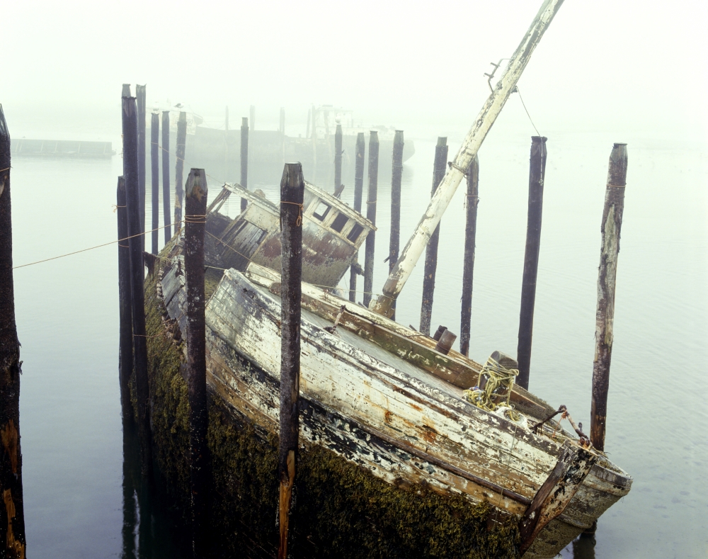 Old Fishing Boat No Longer in Use At Harbour Poster Print by David Chapman - 17 x 13
