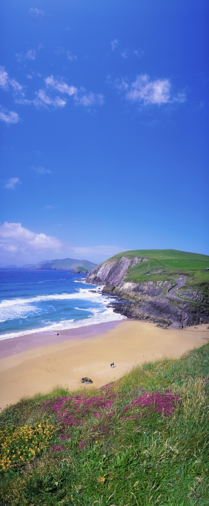 DPI1804444 Coumeenoole Beach Dingle Peninsula Co Kerry Ireland - Beach On The Irish Coast Poster Print by The Irish Image Collection, 12 x 30