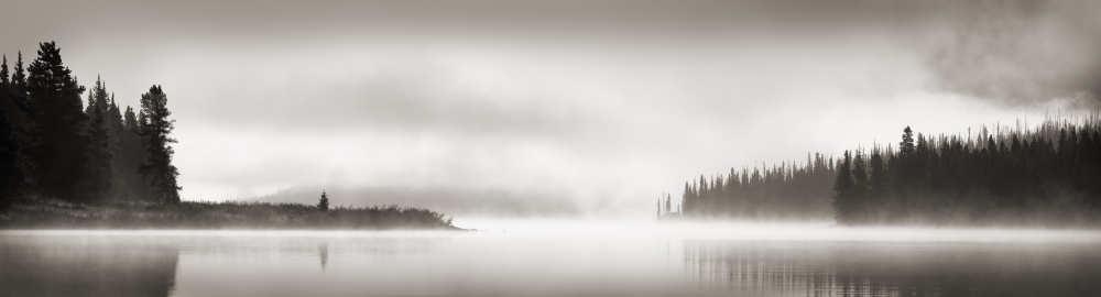 Foggy Scene Poster Print by Corey Hochachka, 44 x 12 - Large