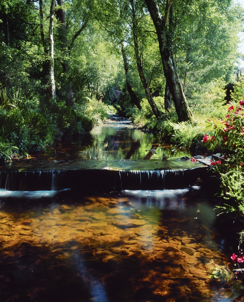DPI1806521 Glenleigh Gardens Co Tipperary Ireland - Stream Through Woods Poster Print by The Irish Image Collection, 13 x 16