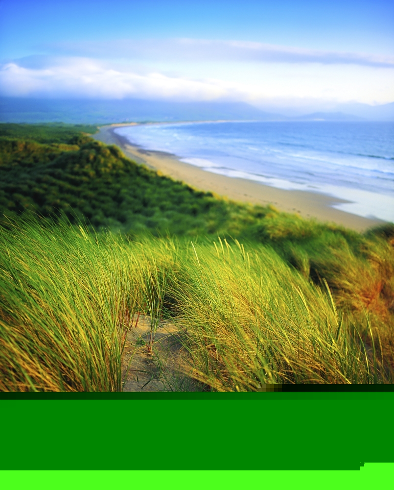 DPI1803551 Co Kerry Castlegregory Sandunes Poster Print by The Irish Image Collection, 13 x 17