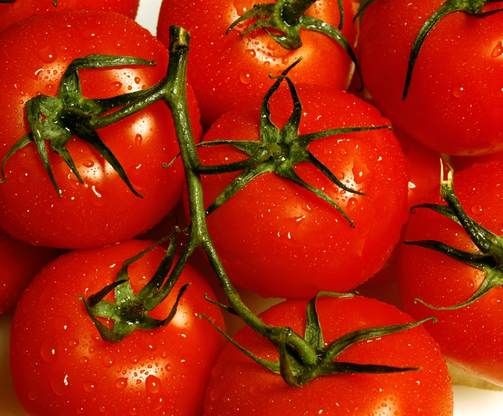 Tomatoes Poster Print by David Chapman - 16 x 13