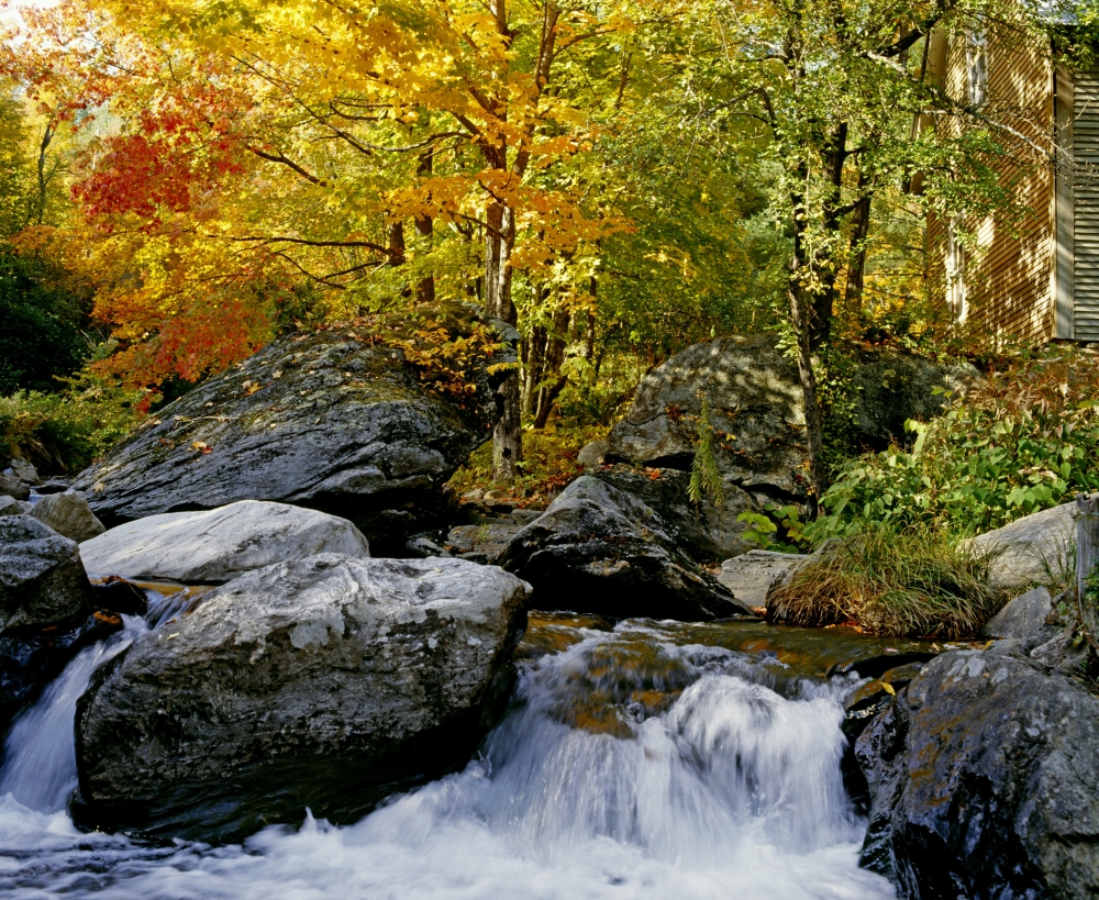 River in Autumn Poster Print by David Chapman - 16 x 13