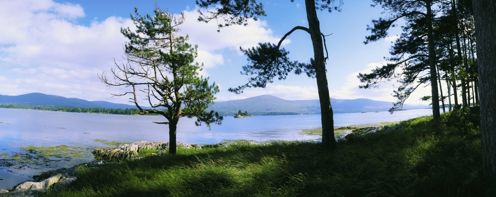 DPI1804377LARGE Kenmare Bay Dunkerron Islands Co Kerry Ireland - Shoreline On A Bay Poster Print by The Irish Image Collection, 36 x 14 - Large