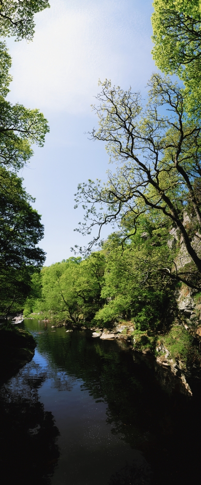 DPI1804661 River Roe Roe Valley Limavady Co Derry Ireland - River Through A Landscape Poster Print by The Irish Image Collection, 12 x 30