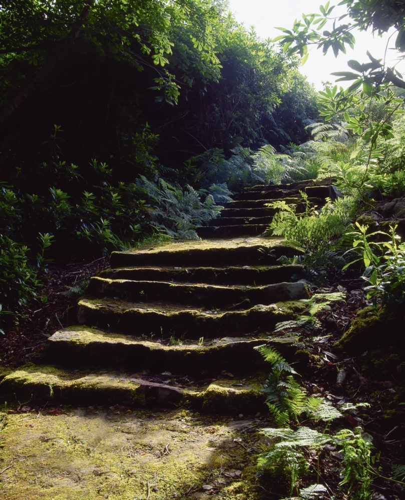 DPI1810343 Glenveagh Castle Co Donegal Ireland - Moss Covered Staircase Poster Print by The Irish Image Collection, 13 x 16